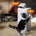 Умный робот-компаньон для котов. HHOLOVE O Sitter 2